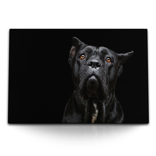 Quadro tela 120x80 cane - su,