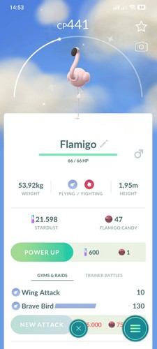 Shiny flamigo p t c - flamigo,