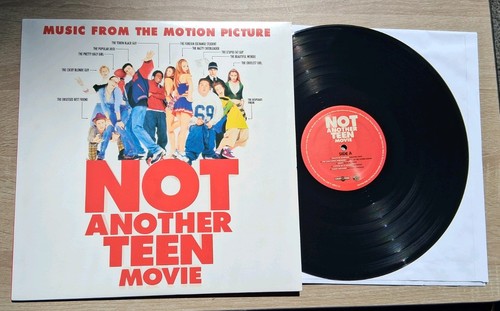 Not another teen - teen, vinyl