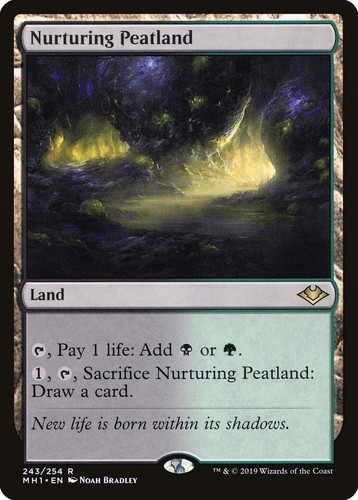 Nurturing peatland modern - peatland, ~