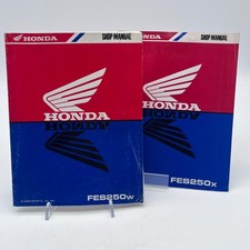 Honda FES250W Manuale Officina