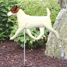 Jack Russell Terrier Outdoor