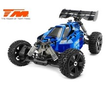 Team Magic B8ER blu nero