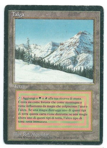 Magic mtg taiga - taiga, foreign