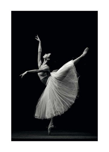 Poster dancer ballerina - poster,