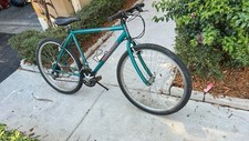 Bianchi ocelot