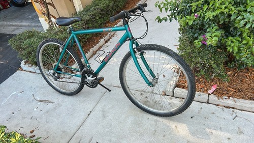 Bianchi ocelot