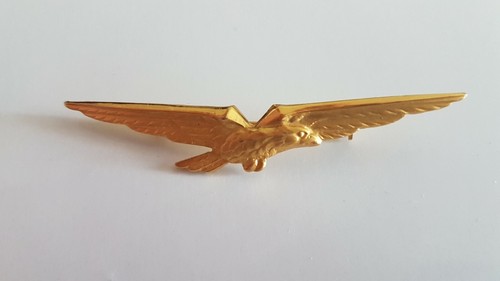 Aquila pilota - aquila,