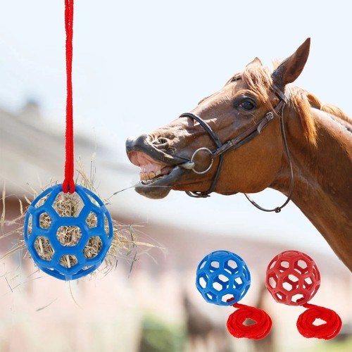Mangiatoia fieno cavallo