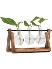 Vaso Idroponico in Vetro