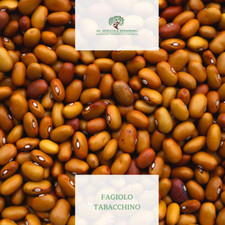 Fagioli tabacchino Azienda agricola Serangeli 5 KG