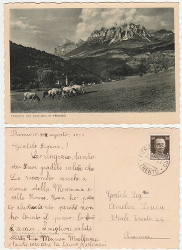 Pascolo nei dintorni - pascolo,