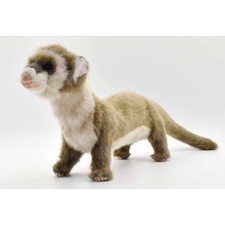 BH6310 HANSA furetto 56