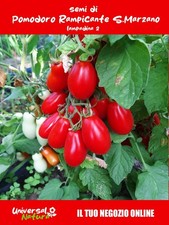25 🍅 Semi di Pomodoro
