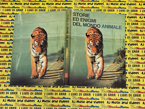 Book libro storie enigmi - libro,