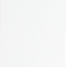 CAMPIONE BIANCO MATT 20 X 20