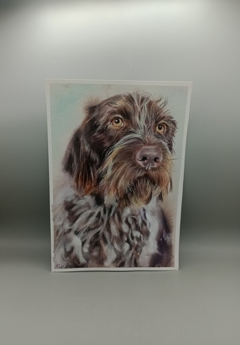 Quadro ritratto acquerello - , e
