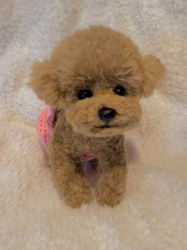 Peluche barboncino giocattolo