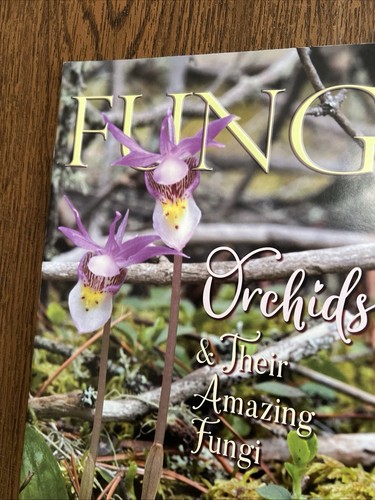 Fungi magazine - fungi,