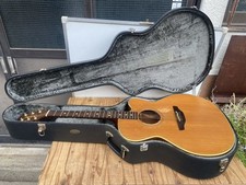 Chitarra elettrica acustica