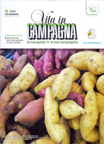 Rivista vita campagna 11 - rivista,