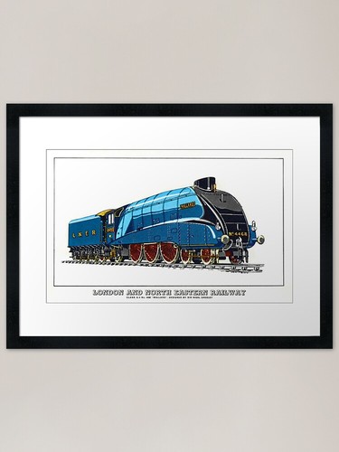Mallard quadro stampa tela - mallard.,