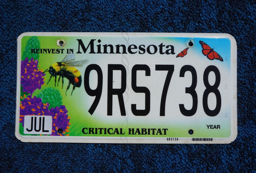 Minnesota ape targa - ape,