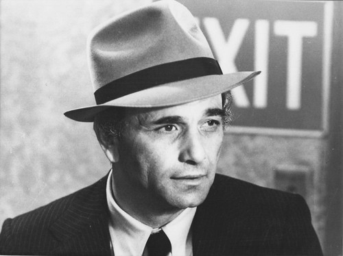 Peter falk photo - ,