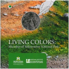 Living Colors: Microbes of
