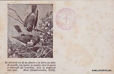 # ANIMALI - ZOOFILIA: ATTENZIONE AI NIDI DI UCCELLI - TIMBRO ROSSO