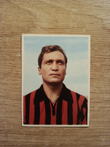 1966 imperia calciatori - imperia,