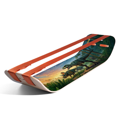 Gibbon giboard balance - gibbon,