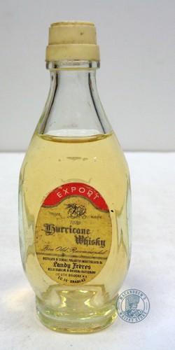 Miniature mignon hurricane - /,