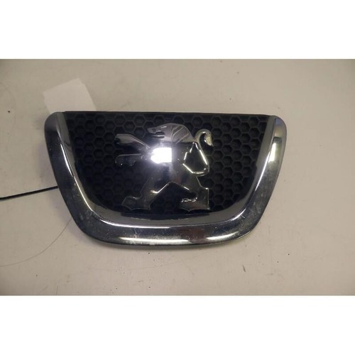 Griglia peugeot 307 - griglia, (05-09)