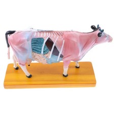 68 Punti Di Agopuntura