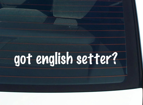 Setter inglese decalcomania - setter, inglese?