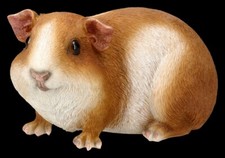 Statua da giardino - cavie