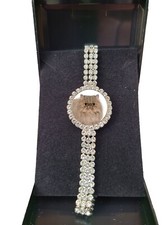 Persian Cat Pet Silver Colour