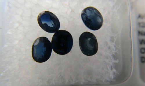 Zaffiro lotto blu nero - blu/nero, tot