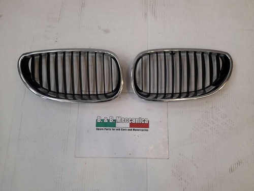Coppia griglie radiatore - radiatore, sx