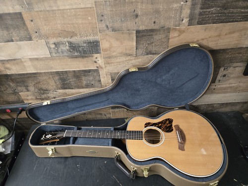 2025 taylor gold - gold, 514e