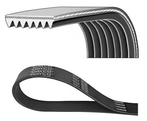 Cinghia trapezoidale