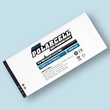 PolarCell Batteria per