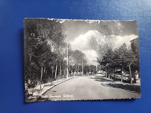 12782 cartolina alatri - alatri, viale