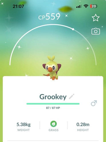 Shiny grookey pokemon gen8 - shiny,