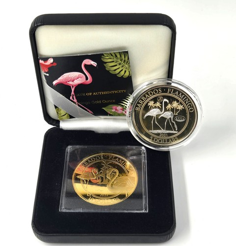 Barbados doppio set - barbados,