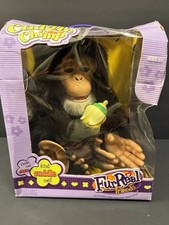Hasbro 2005 Pelliccia Amici