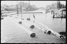 Gyppo operazioni di registrazione, Tillamook County, Oregon, OR, Farm Security Admin, FSA, 24