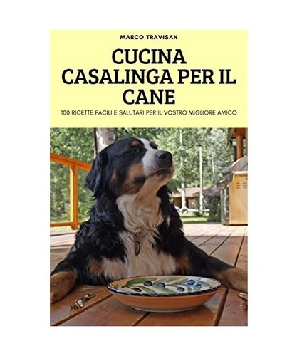 Cucina casalinga per cane - cucina,