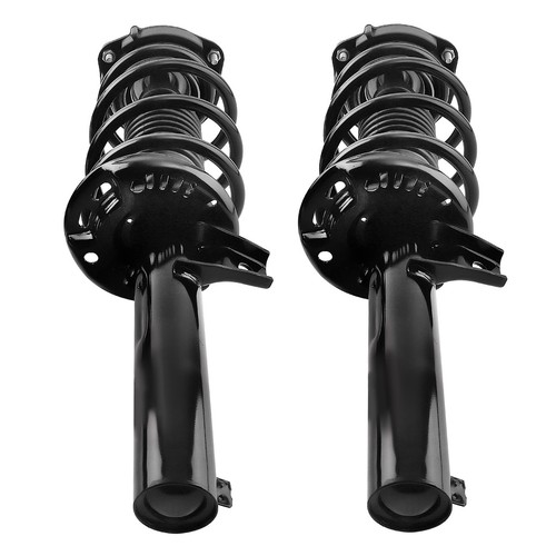 Pair front strut - strut, spring